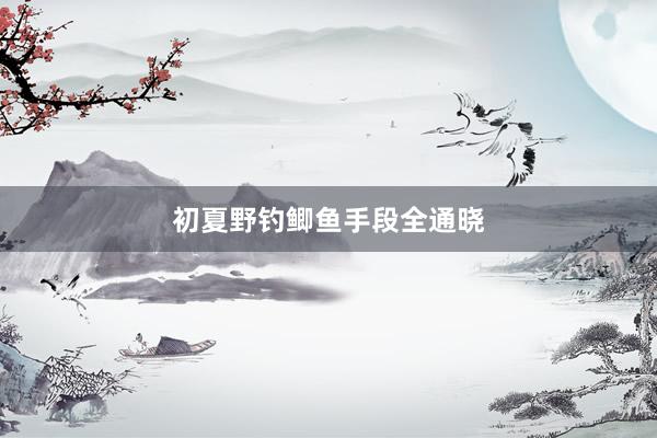 初夏野钓鲫鱼手段全通晓